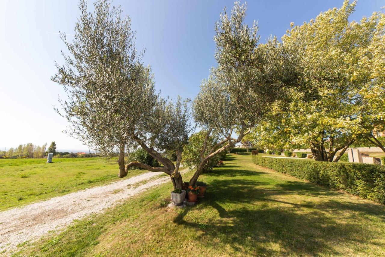 Agriturismo Bella Cima Montefiascone Exteriér fotografie