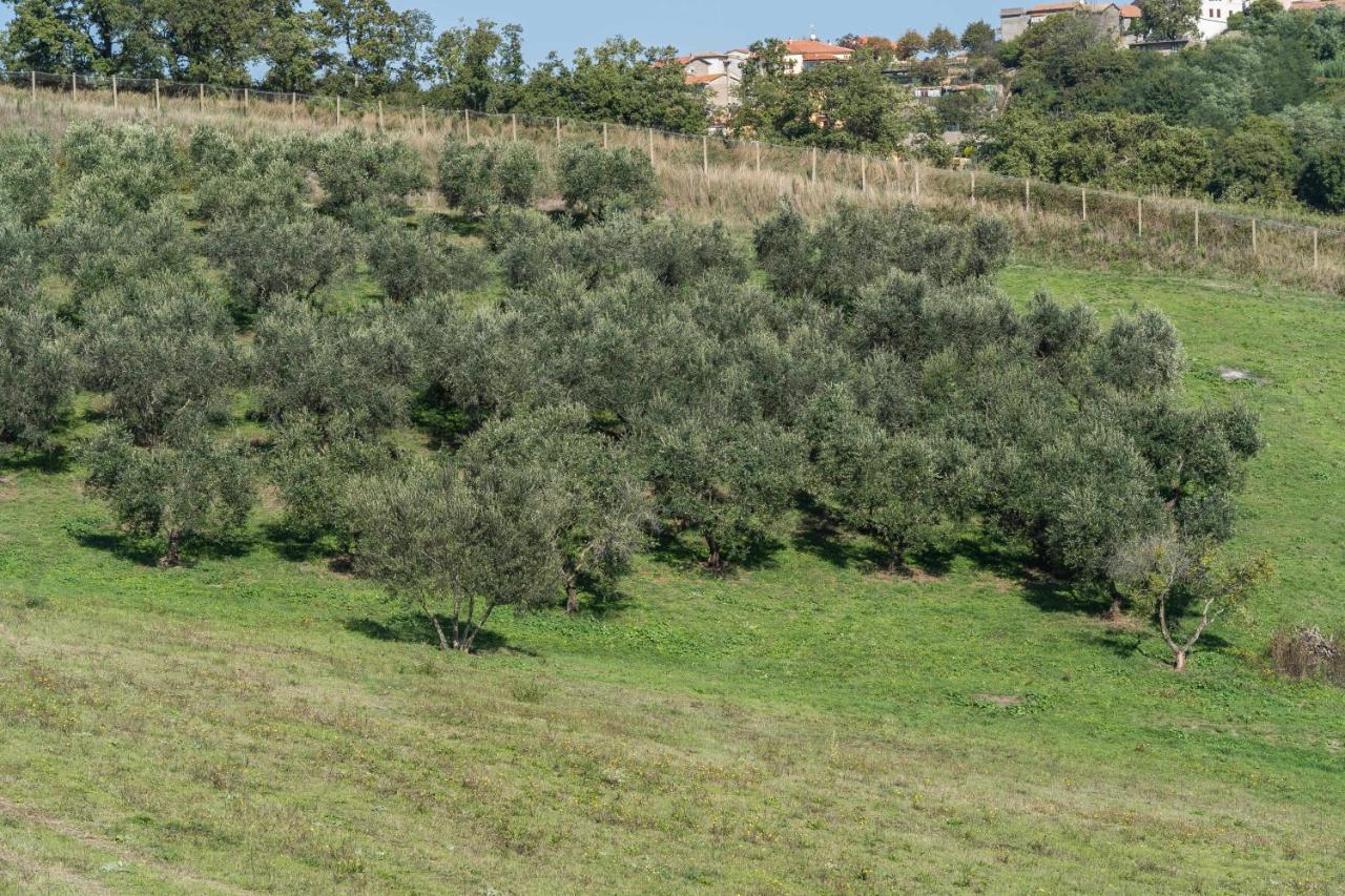 Agriturismo Bella Cima Montefiascone Exteriér fotografie