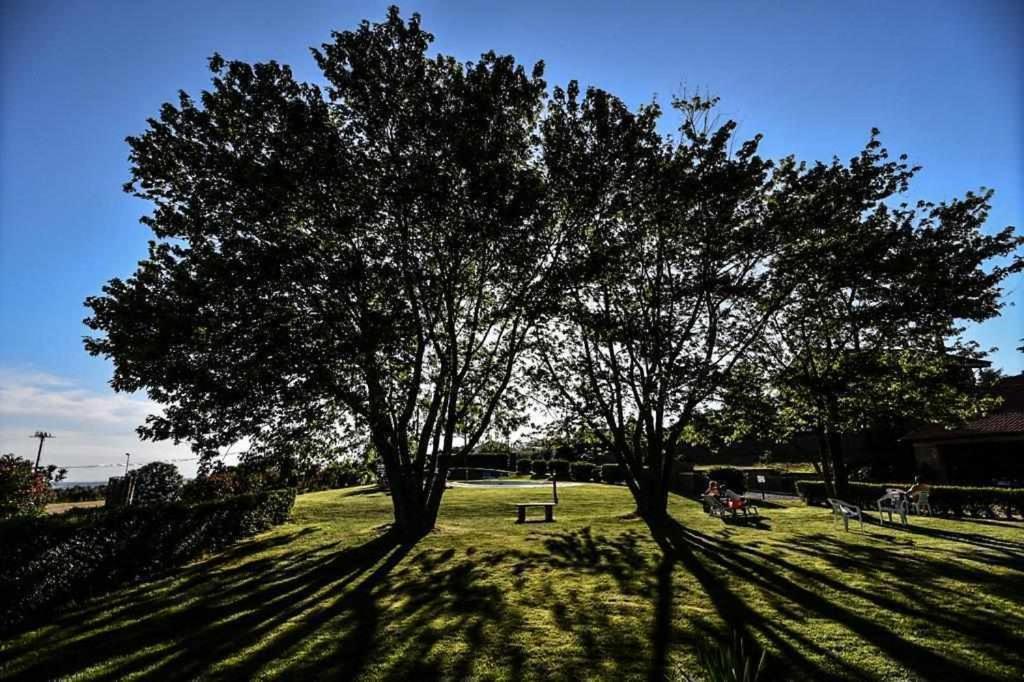 Agriturismo Bella Cima Montefiascone Exteriér fotografie