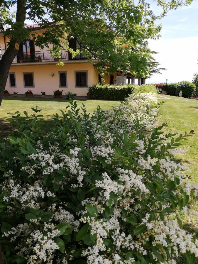 Agriturismo Bella Cima Montefiascone Exteriér fotografie